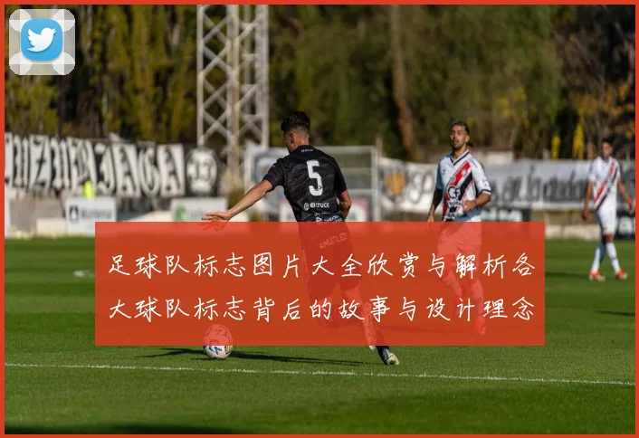足球队标志图片大全欣赏与解析各大球队标志背后的故事与设计理念
