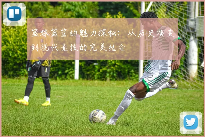 篮球篮筐的魅力探秘：从历史演变到现代竞技的完美结合